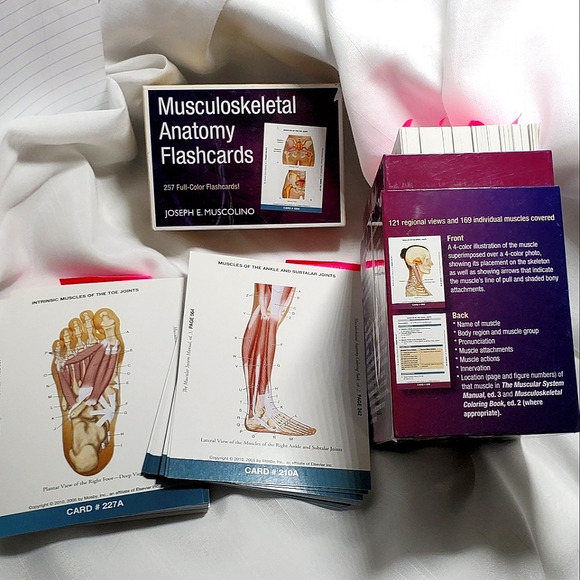 Muscolino Other Musculoskeletal Anatomy Flashcards Medical Therapy